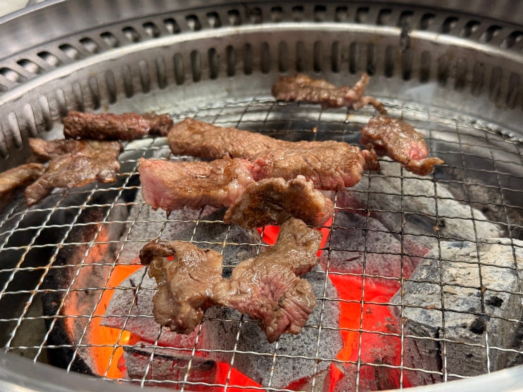  [경주 맛집] 한우가 1만 원? 줄 서서 먹는 '시골숯불한우촌' 웨이팅부터 주차까지 완벽 정리 