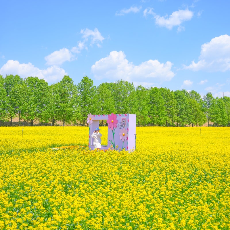 사진 8
