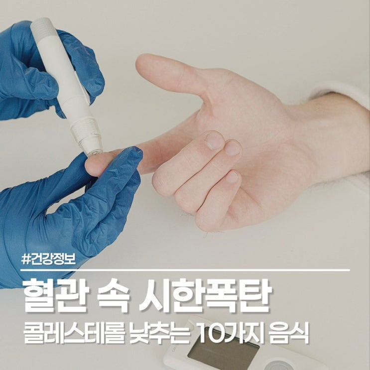  콜레스테롤 낮추는 음식 10가지, 건강하고 맛있게 오늘부터 시작하는 식단