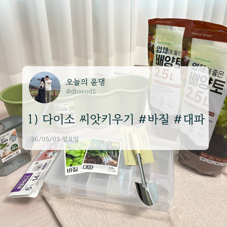 [1일차] 왕 초보가 다이소 바질 대파 씨앗키우기 | 흙 종류추천 | 발아도전