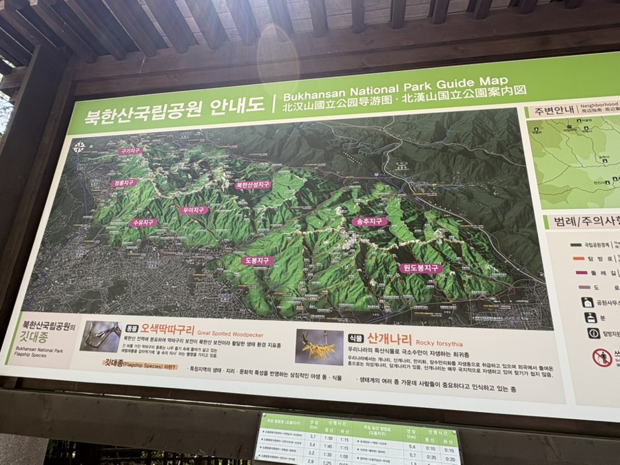 진김밥 사진 1