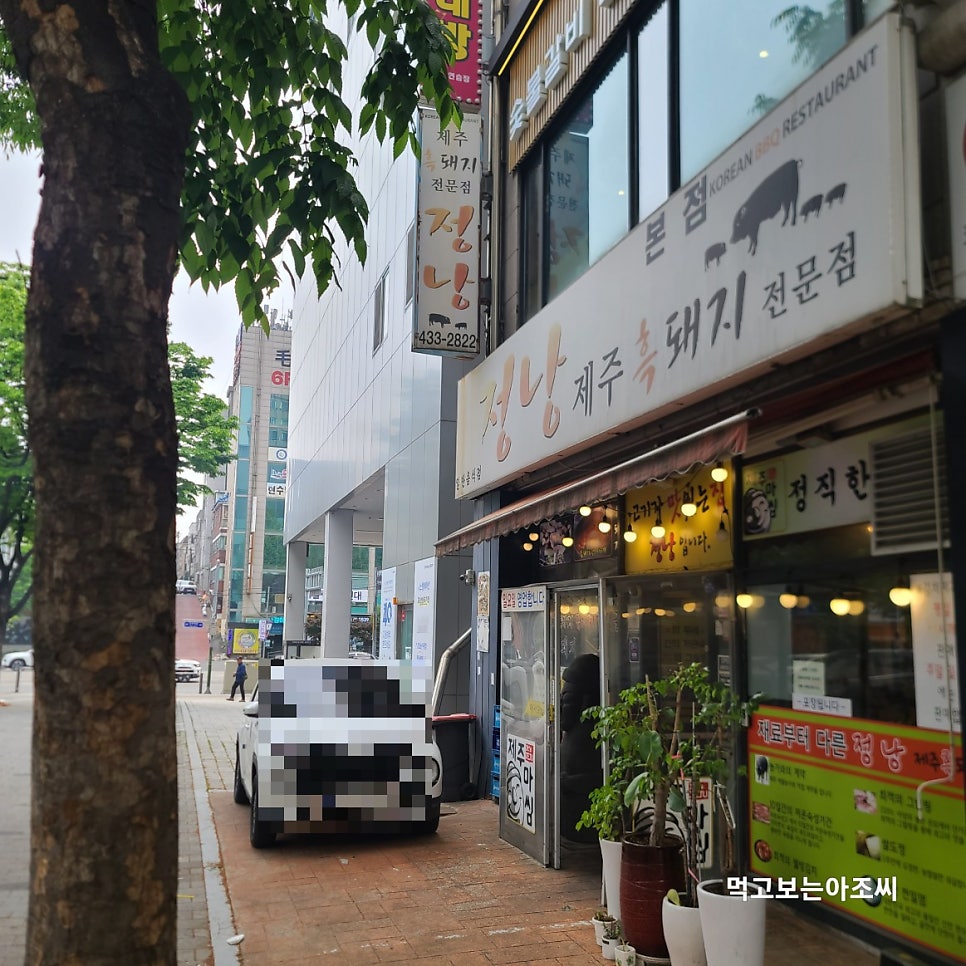 정낭흑돼지 사진 1