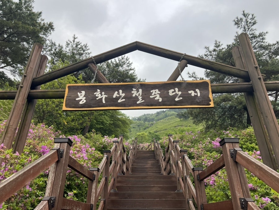 봉화정 사진 4