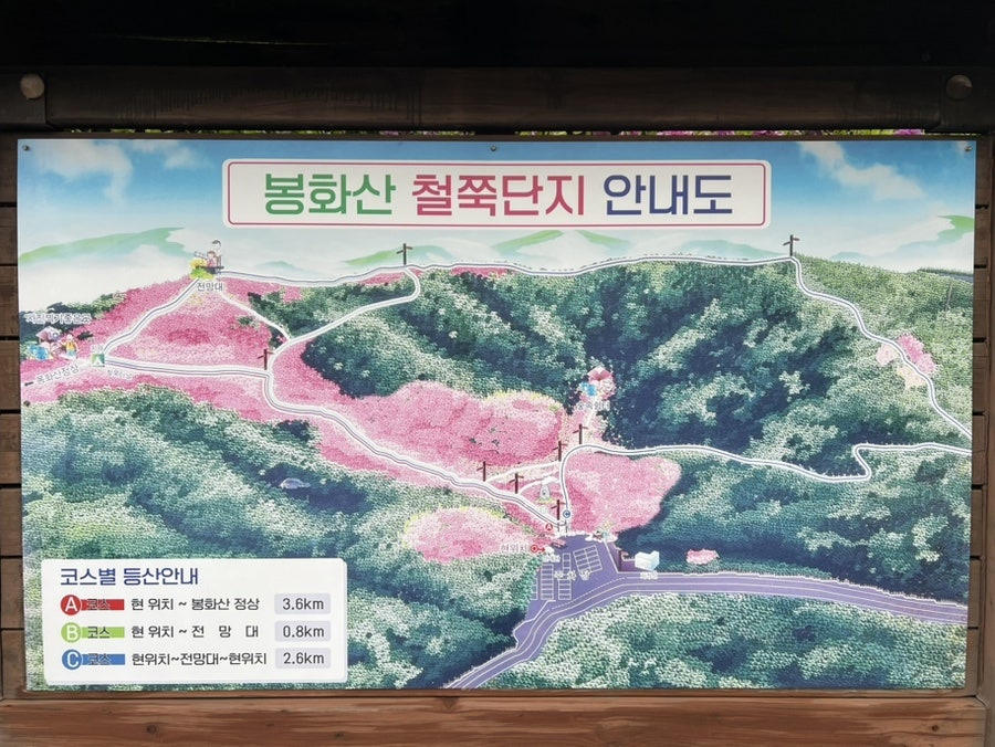 봉화정 사진 1
