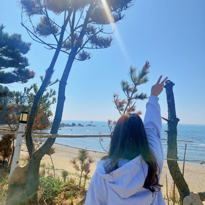 (2박 3일 바다 캠핑) 태안 파도와 노을 캠핑장(파도리)