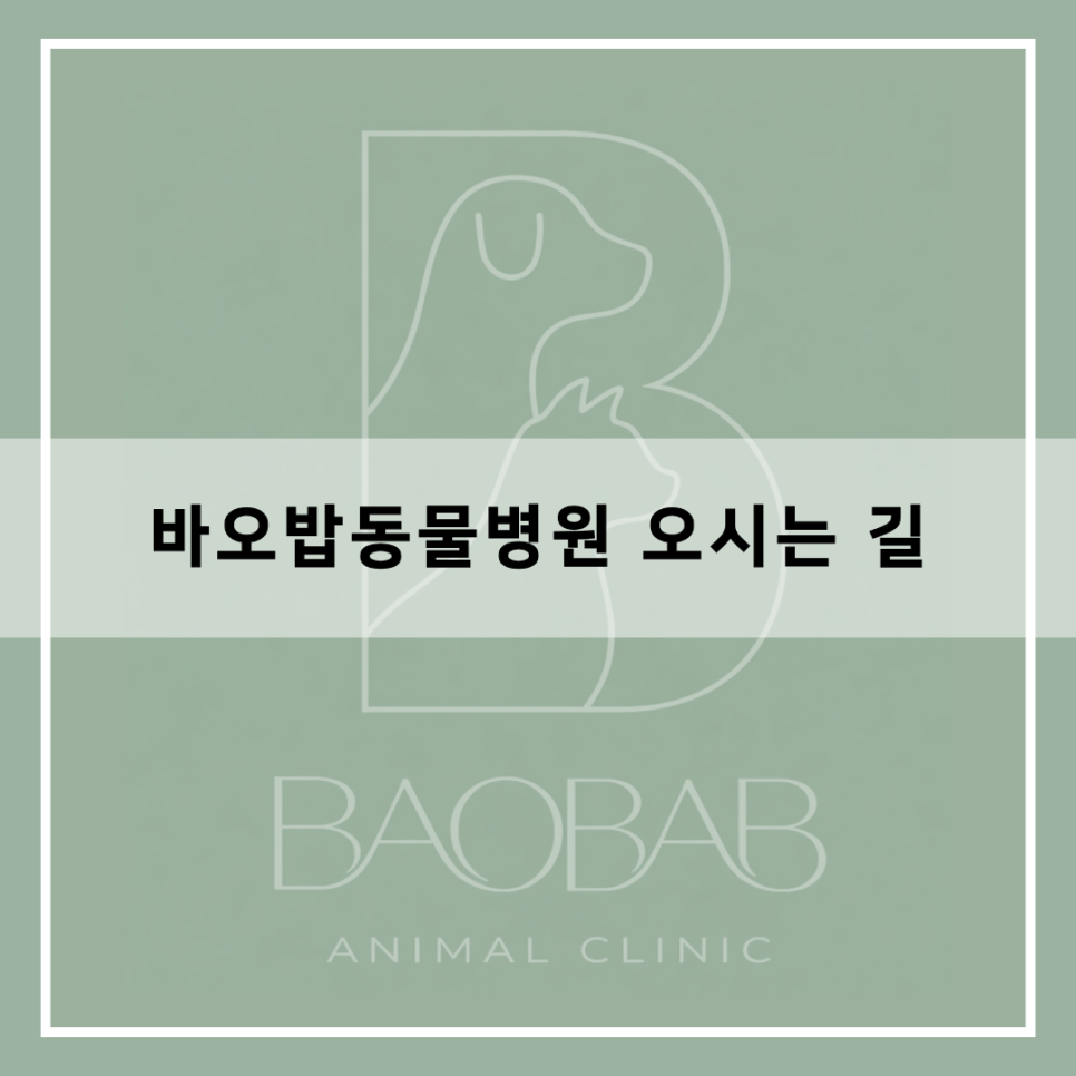 바오밥동물병원 사진 1