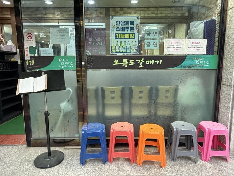 오륙도갈매기 사진 5