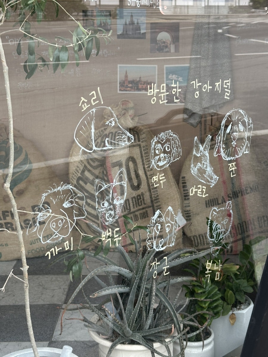 미겔제과점 사진 6