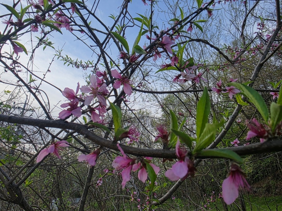 천종산 사진 5