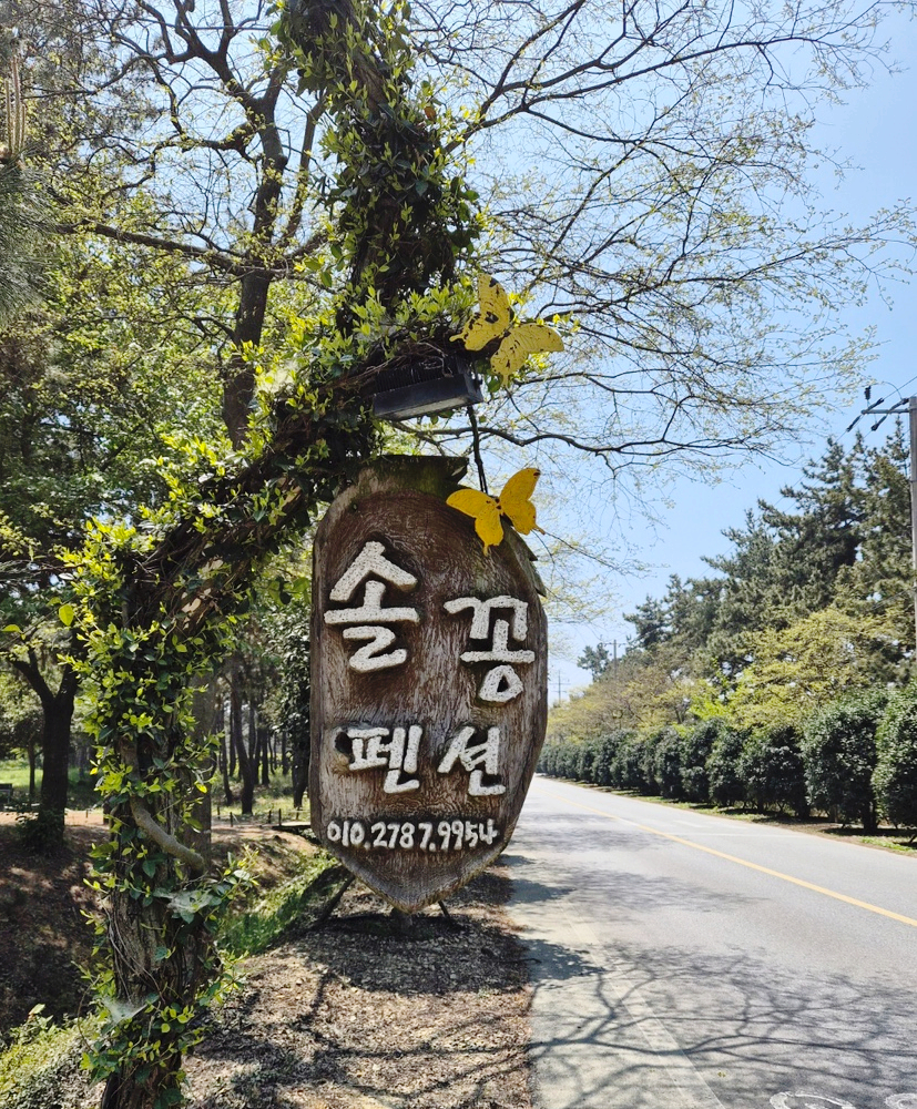 솔꽁펜션 사진 3