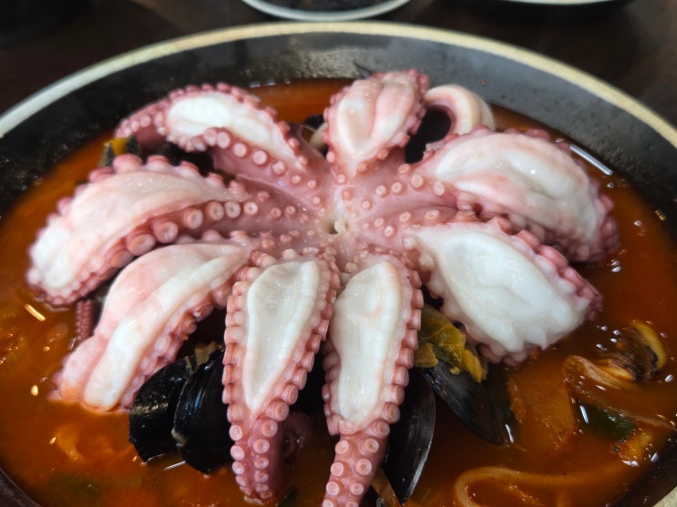  강화도 가성비 맛집 중국집 중화요리금성 영업시간 내돈내산 후기ㅣ2천원 짜장면 문어짬뽕 퀄리티 솔직 후기
