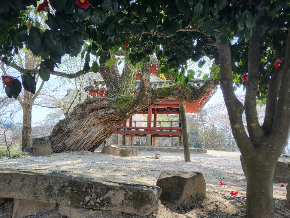 정자로 사진 2