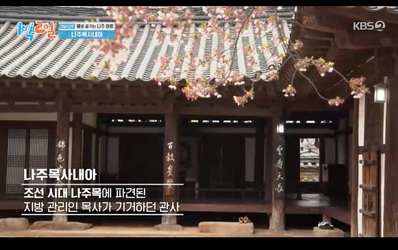 배꼽시계 사진 2