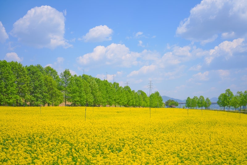 사진 9