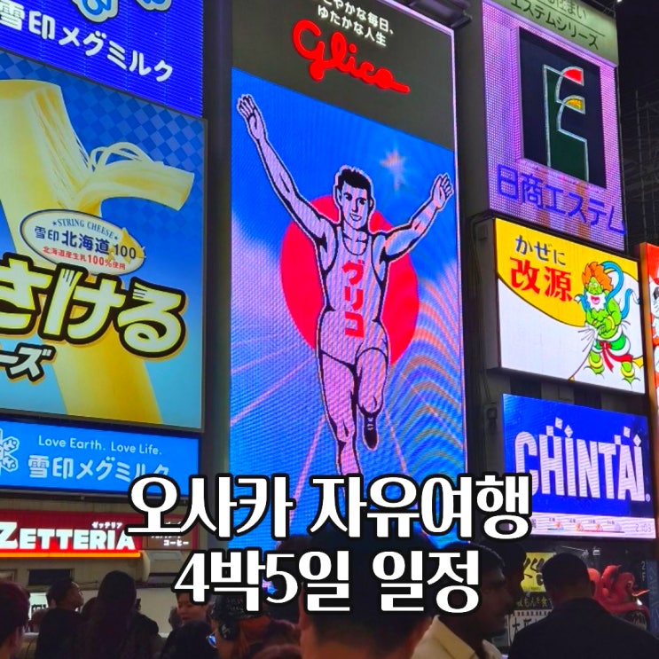  오사카 교토 자유여행 4박 5일 일정 추천