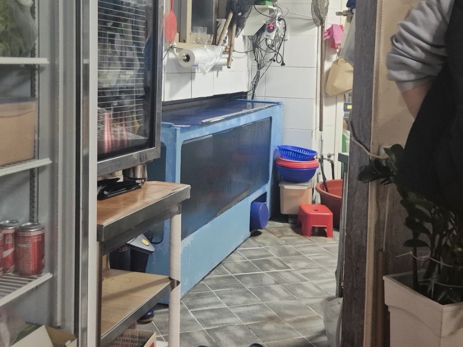 토말 사진 3