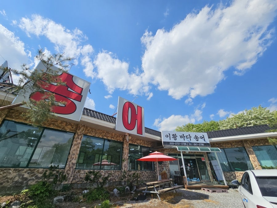 이황바다송어 사진 1