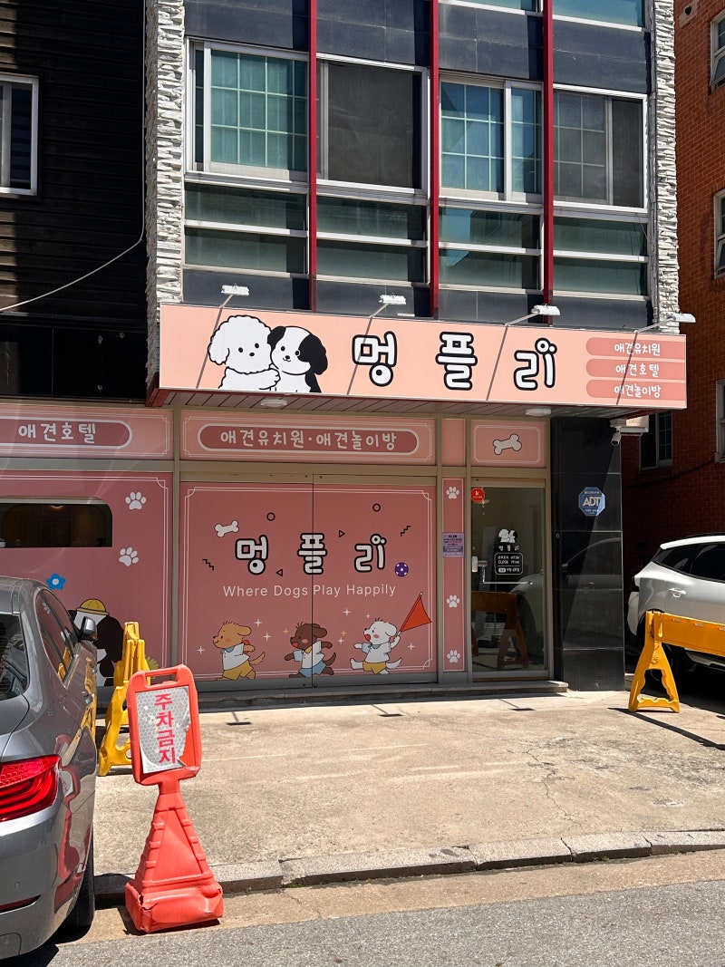 사진 8