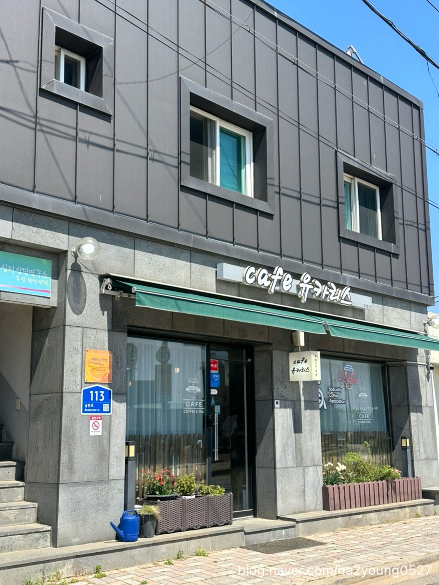 유카리스 사진 2