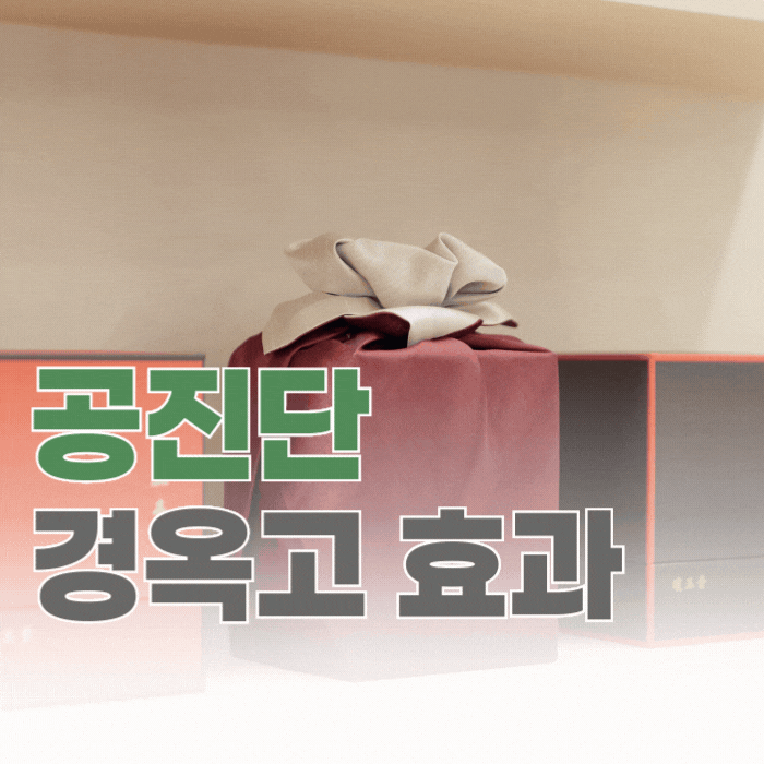  공진단 경옥고 효과, 가정의 달 선물 고민이라면 한번 읽어보세요.