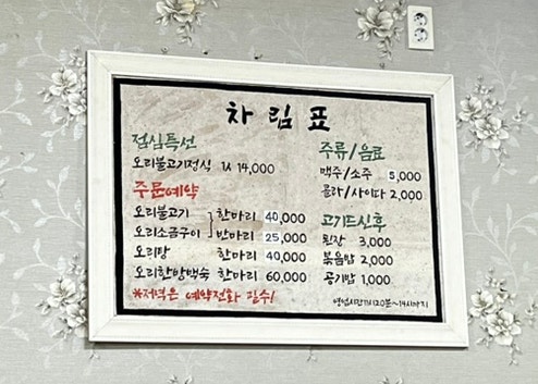 거북이가반한오리 사진 6
