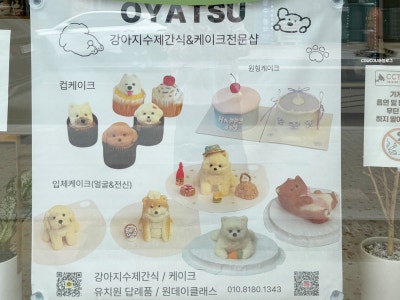 사진 2