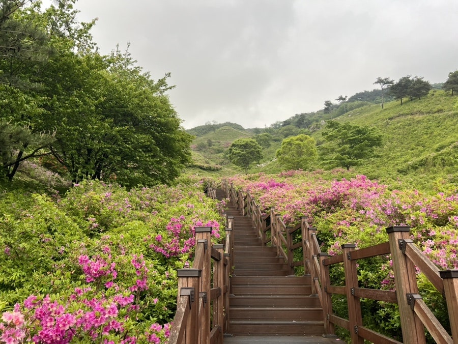 봉화정 사진 6