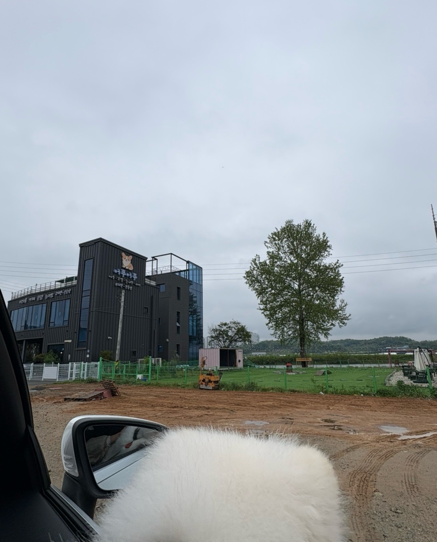 카페산책 사진 2