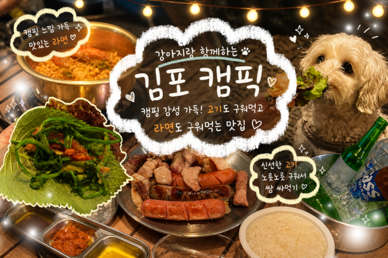 사진 3