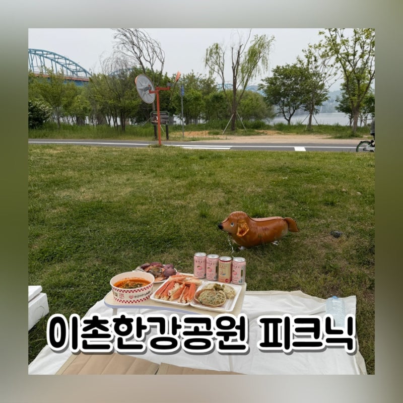 이촌한강공원 돗자리 그늘막 편의점 라면 배달존 명당