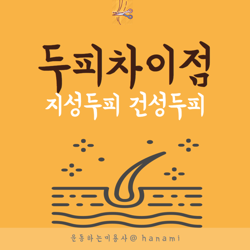 지성두피 건성두피 뜻 비교 차이 ?