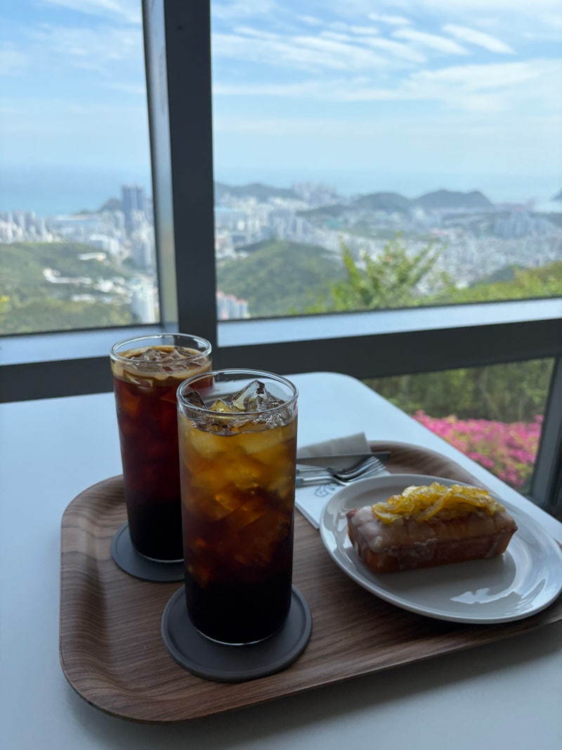 부산 야경 명소 황령산 카페 블루뱅 | 낮에 가도 뷰 끝내주는 유자파운드케이크 맛집