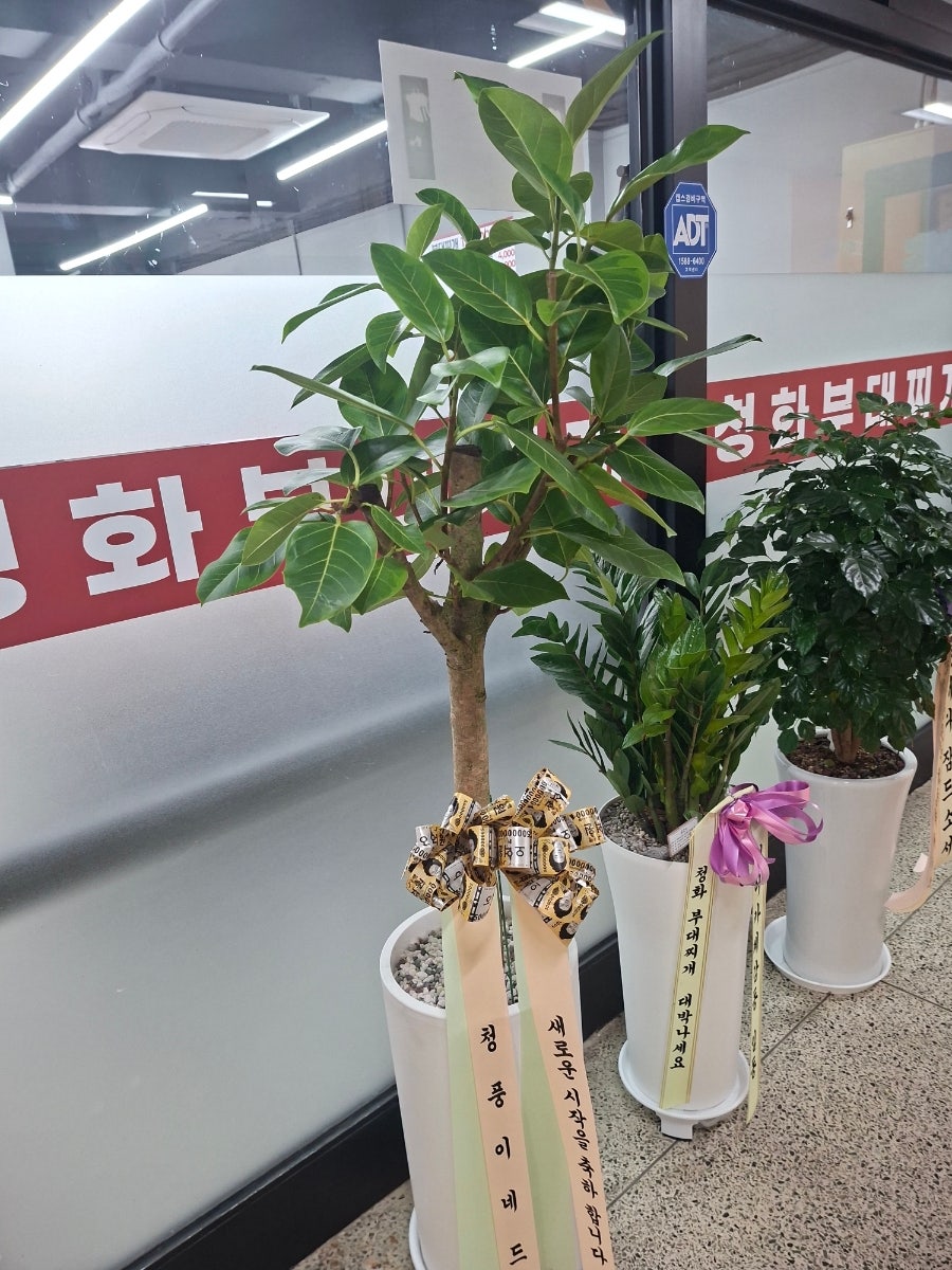 청화부대찌개 사진 4