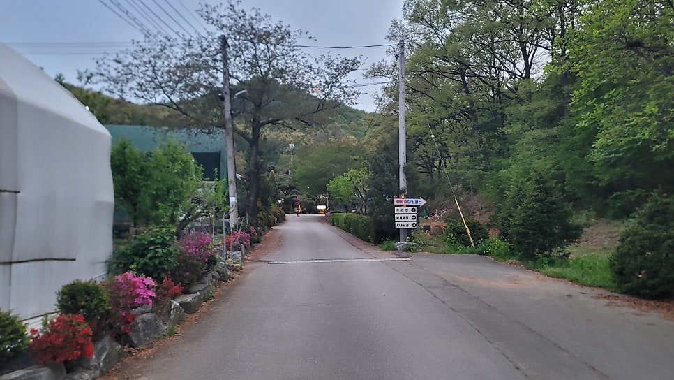 짬뽕지존 물왕점 사진 6