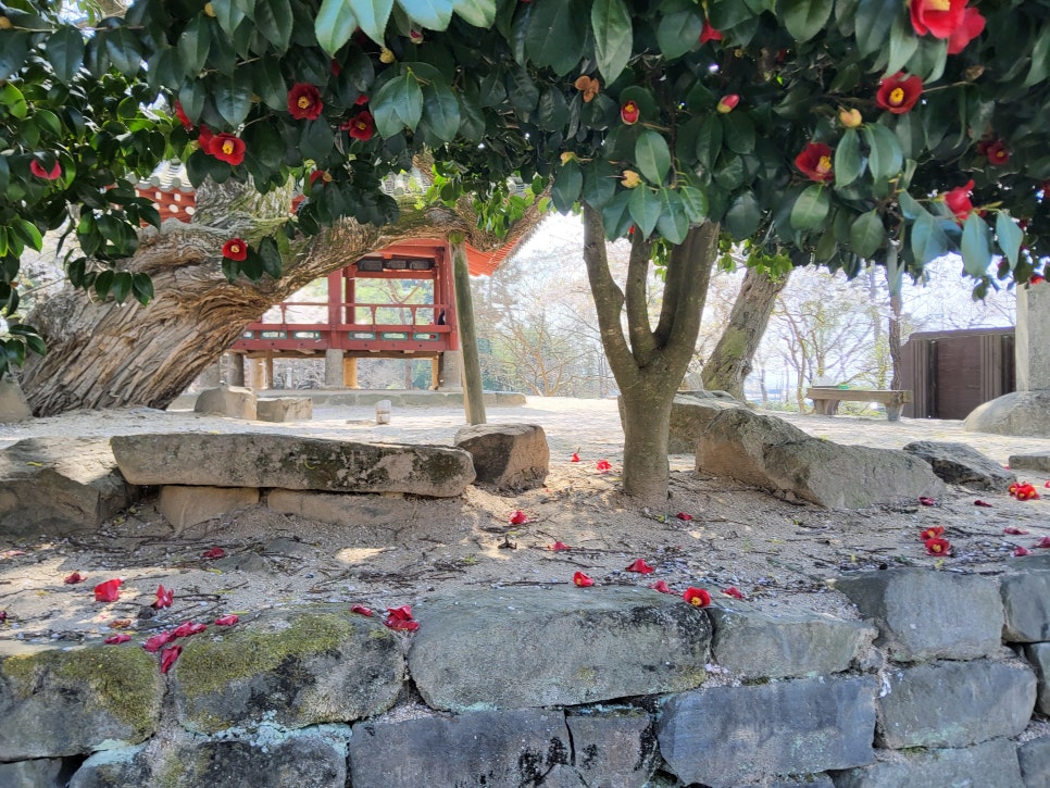 정자로 사진 1