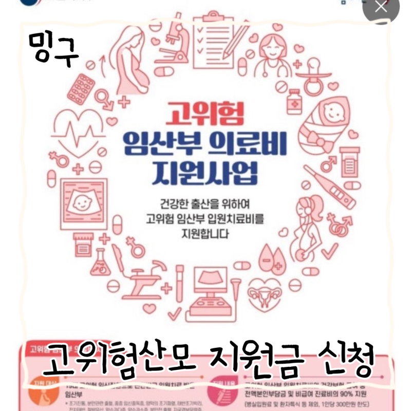 고위험 임산부 의료비지원 신청 / 고혈압 , 분만후출혈 / 사설 엠블런스 / 임산부 우체국무료....