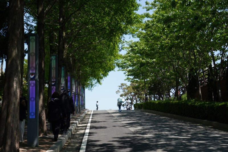 사진 7