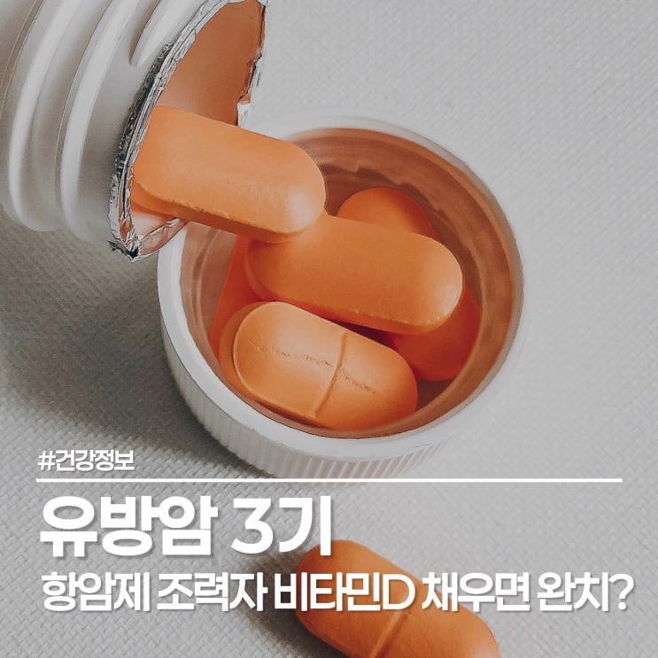  유방암 3기 항암 효과 1.8배 높이는 비결? 생존율 높이는 생활 습관 총정리
