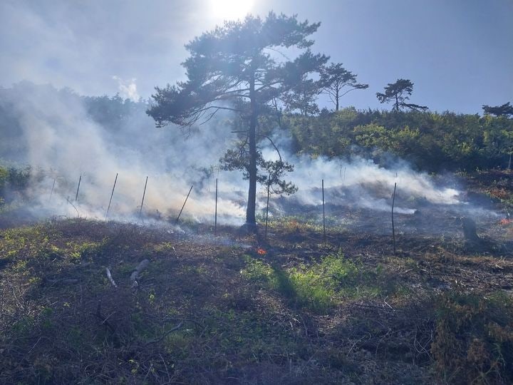 야산 사진 1