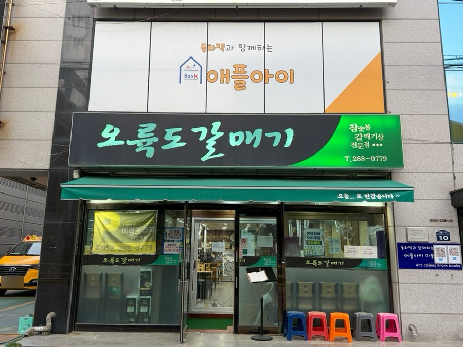 오륙도갈매기 사진 2