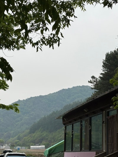 사진 6