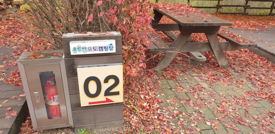 용두산오토캠핑장 사진 3