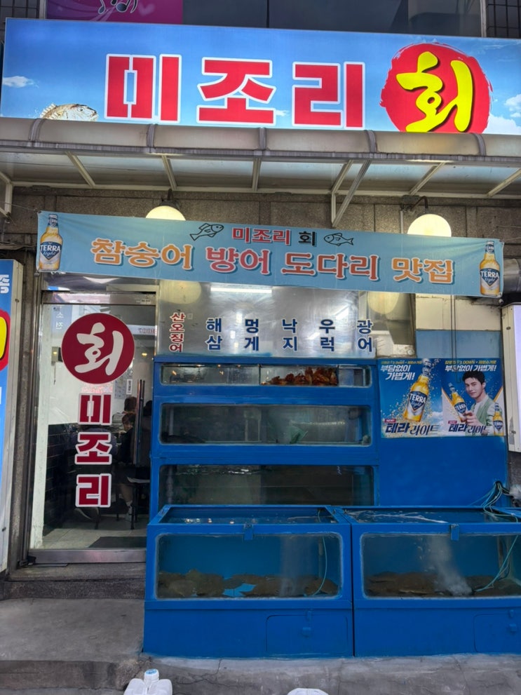  안양 미조리 회 방문 후기 (수촌마을 횟집, 안양 맛집, 회) | 