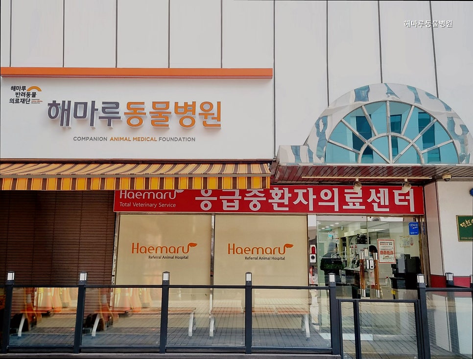 해마루동물병원 사진 5