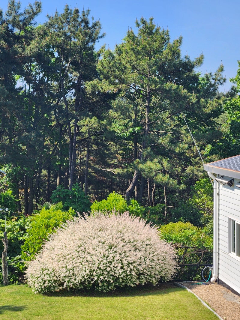 사진 5