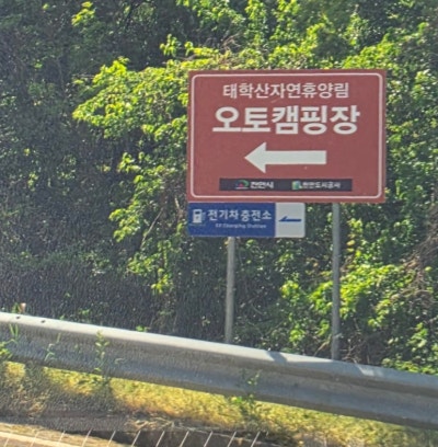 사진 9