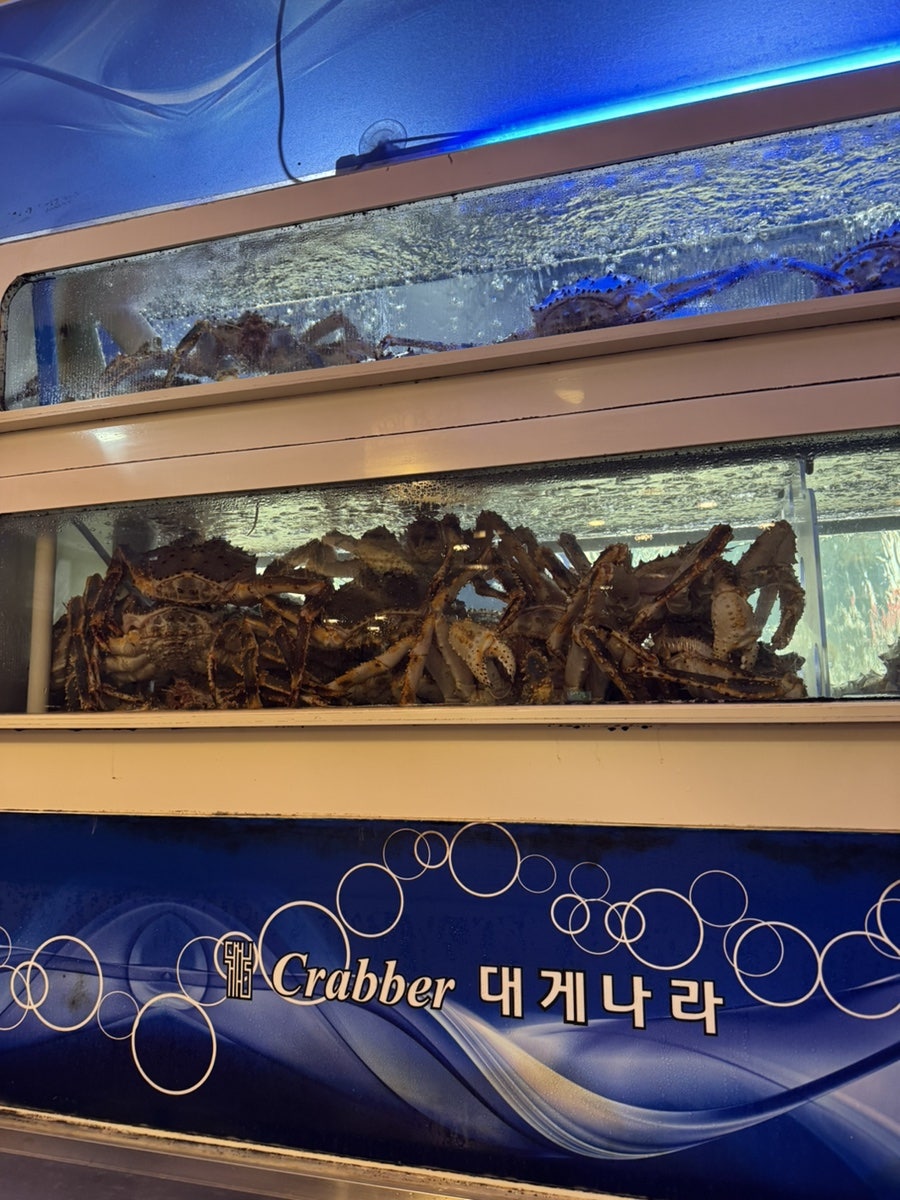 크래버대게나라 대전점 사진 3