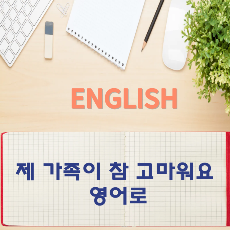  오늘의 영어회화 스터디 제 가족이 참 고마워요 영어로