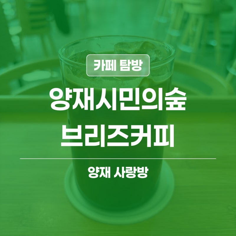 사진 6