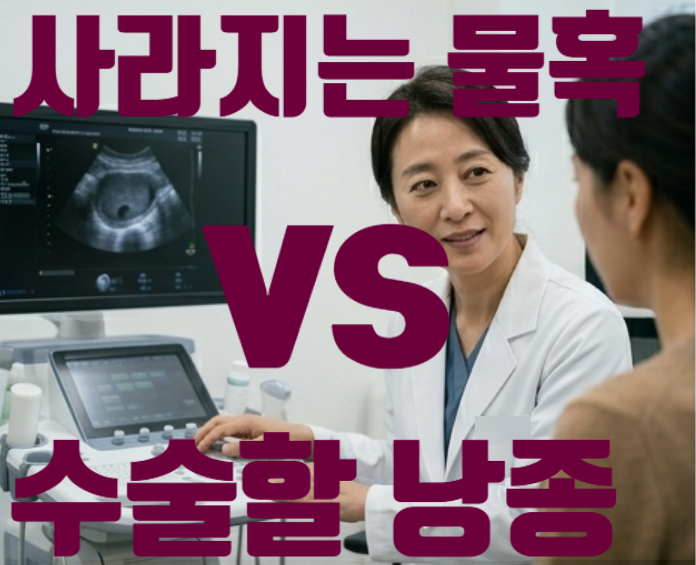 (혹시 나도 난소암?) 사라지는 물혹 vs 수술 필요한 낭종 구별법과 보험 혜택 총정리